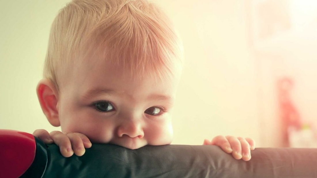 Как отучить ребенка кусаться − почему родителям стоит задуматься над своим поведением?