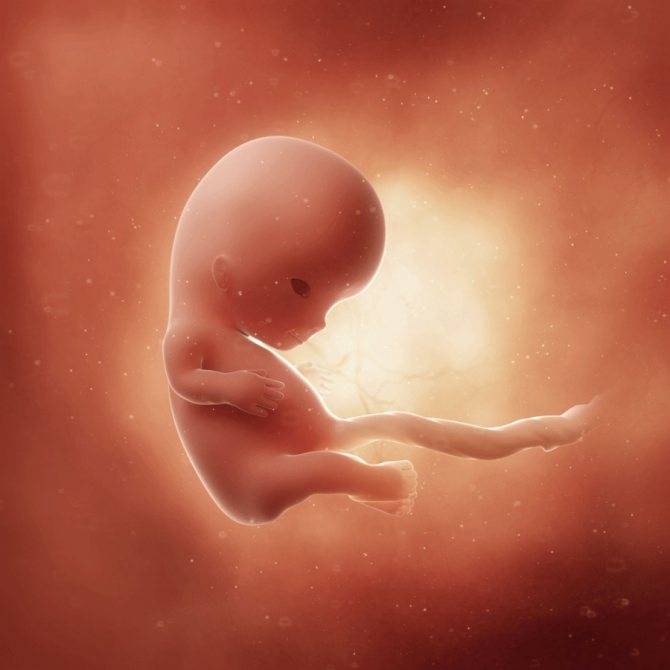 9 неделя беременности: страхи будущей мамы, изменения в фигуре