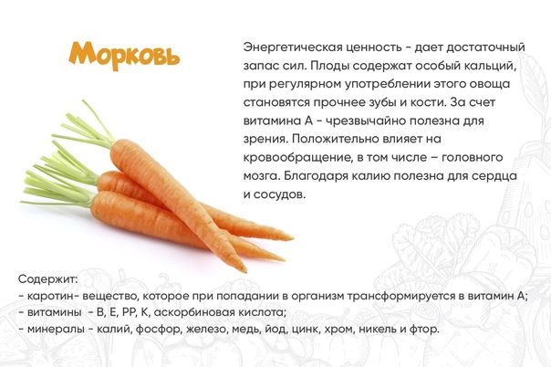 Правила по введению моркови в прикорм