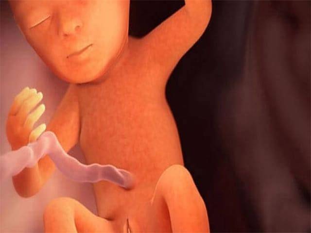Беременность 15 недель: развитие плода и ощущения женщины, первые шевеления, отзывы