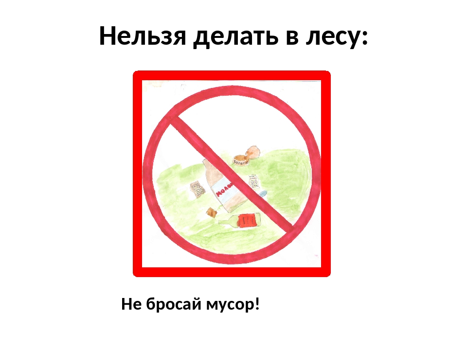 Нельзя бросать. Что нельзя делать в лесу. Запрещается мусорить в лесу. Знак нельзя мусорить в лесу. Знак не мусорить в лесу для детей.