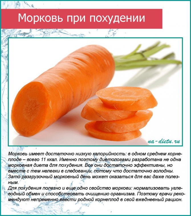 Морковь при беременности: есть или не есть?