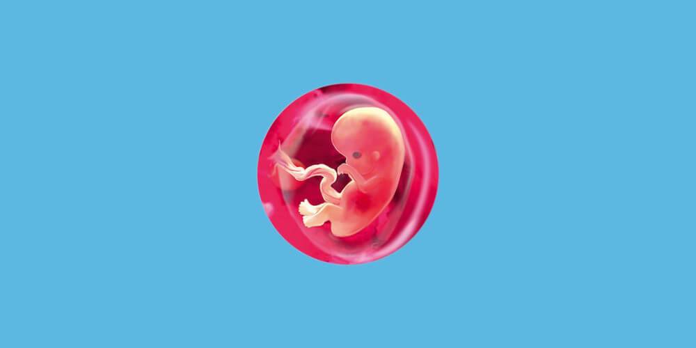 9 неделя беременности: признаки и ощущения женщины, симптомы, развитие плода