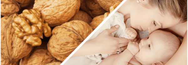 Польза и вред орехов при грудном вскармливании. какие из них можно употреблять кормящим мамам?