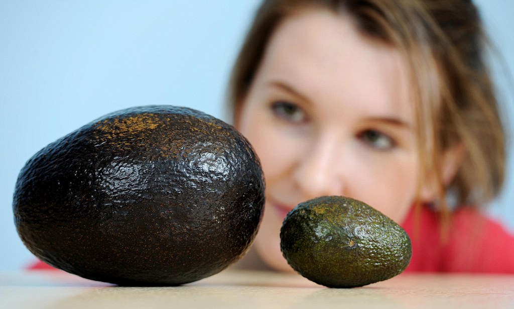 Можно ли есть авокадо при грудном вскармливании, его польза и правила ввода в рацион