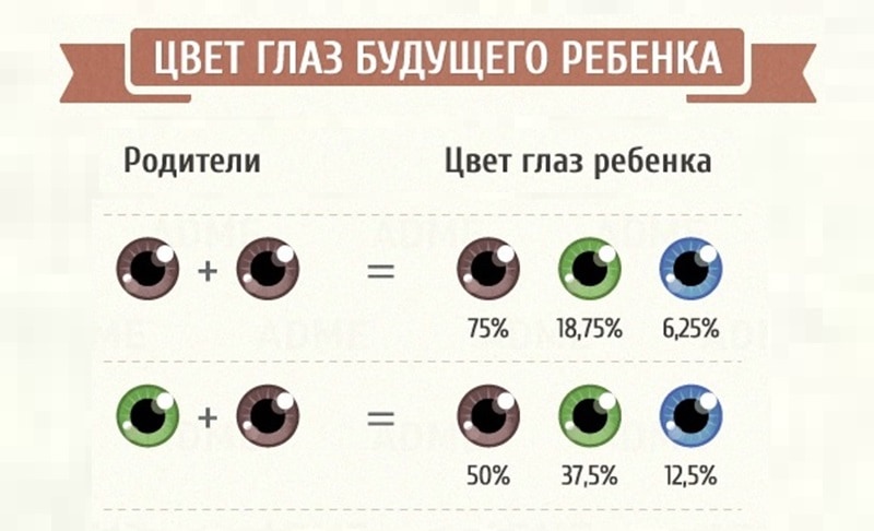 Когда меняется цвет глаз у новорожденных детей