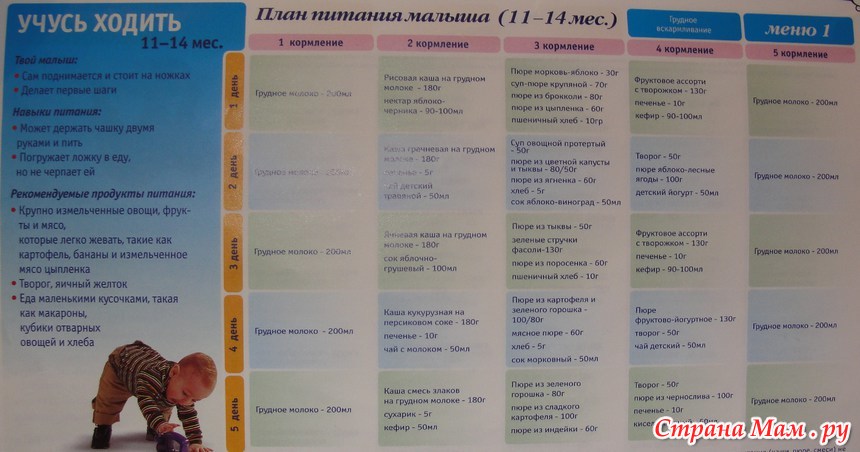 Режим питания ребенка в 9 месяцев