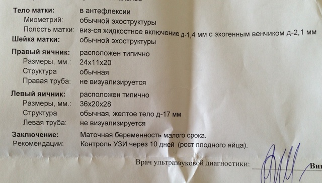 Желтое тело при беременности: размеры по неделям и симптомы гипофункции