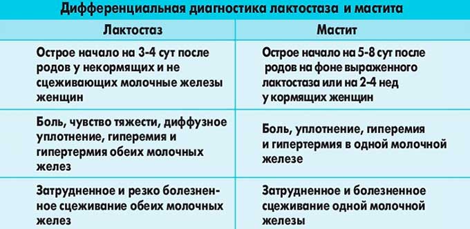К какому врачу обращаться при лактостазе?