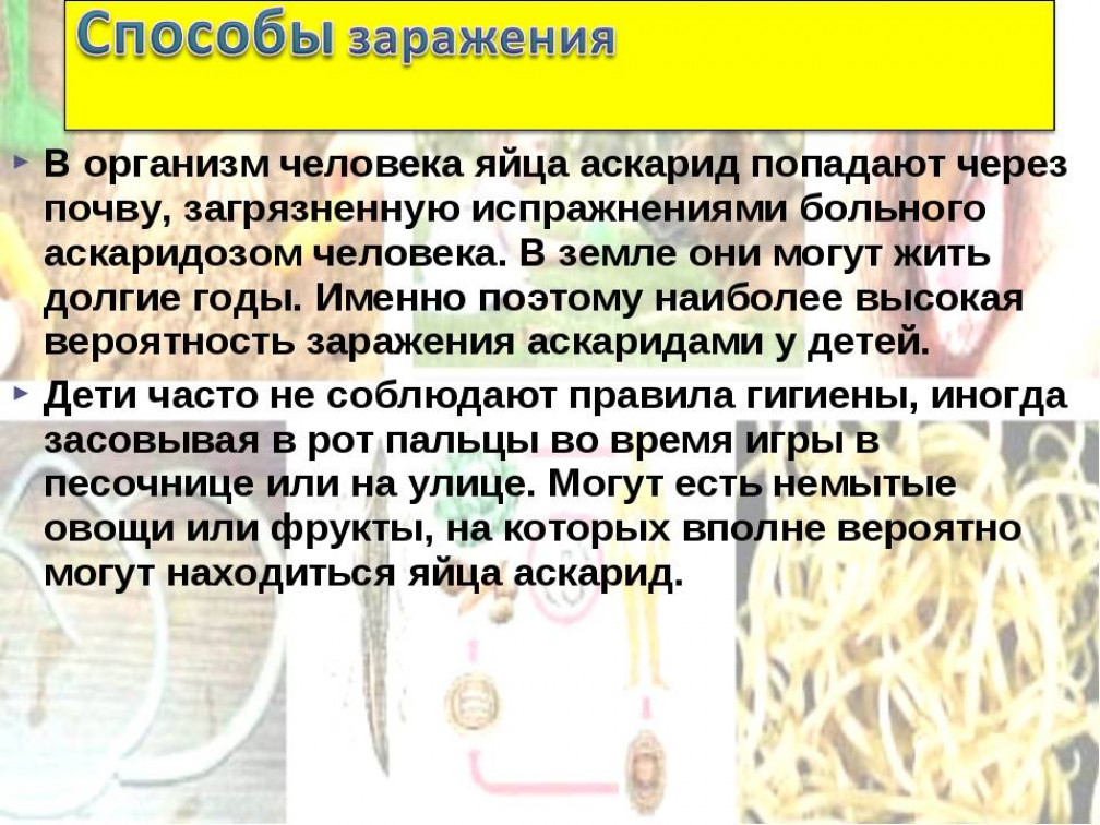 Памятка глистных заболеваний 5 класс. Аскарида человеческая пути заражения человека. Аскаридоз методы заражения. Аскариды пути заражения человека.