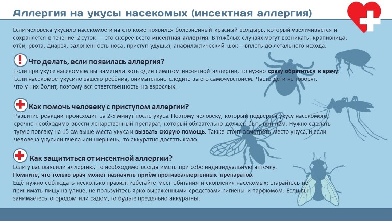 Аллергия на укусы комаров, ос и пчел: как выглядит и что делать?