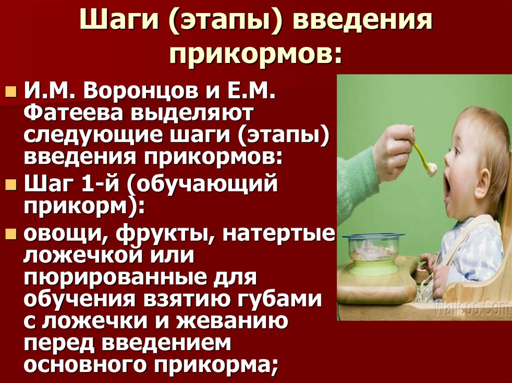 Vedinstvo: введение прикорма - ребенок-вегетарианец