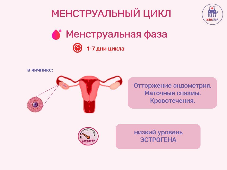 Месячные у женщин: когда менструация превращается в критические дни