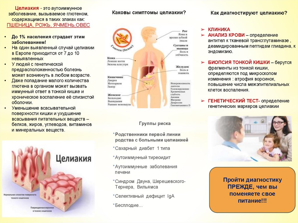 Что такое непереносимость глютена. Клинические симптомы целиакии. Бессимптомная целиакия. Целиакия клинические симптомы.