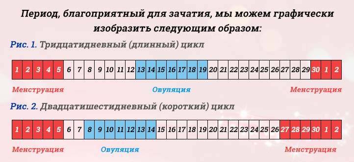 На какой день можно забеременеть после месячных: период, благоприятный для зачатия ребёнка