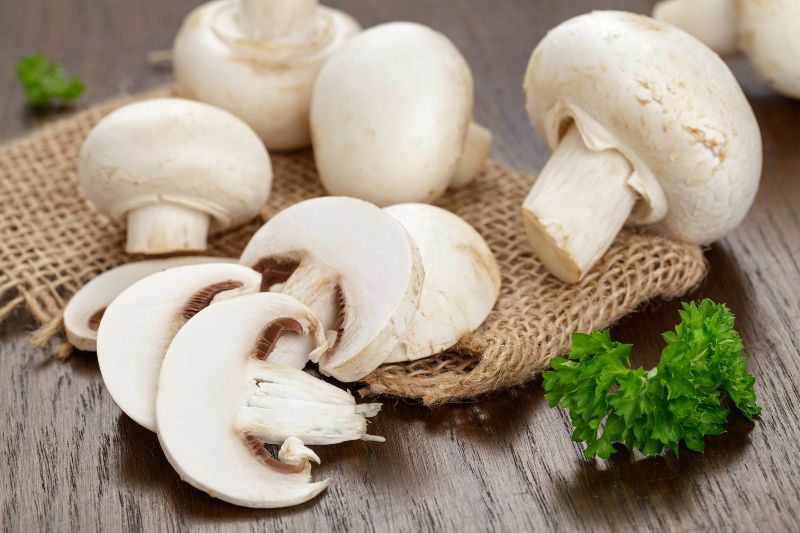 К чему во время беременности хочется грибов. можно ли беременным маринованные грибы? пищевая ценность грибов: мнения диетологов