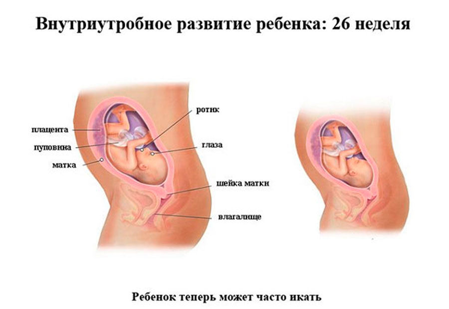 Картинки 39 неделя беременности