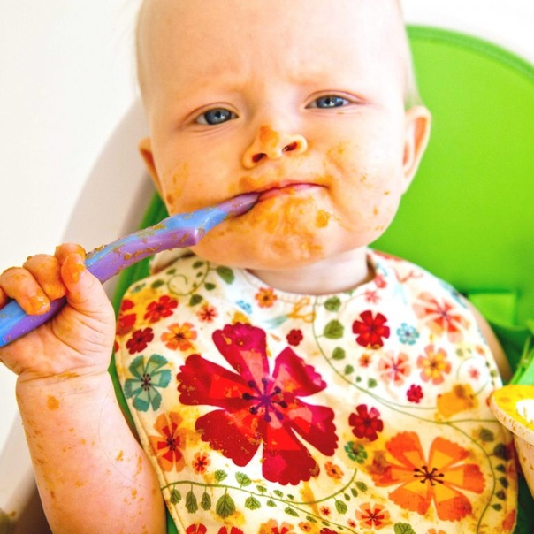 Кушать подано или что надо знать родителям о введении прикорма. схема и правила введения прикорма по месяцам