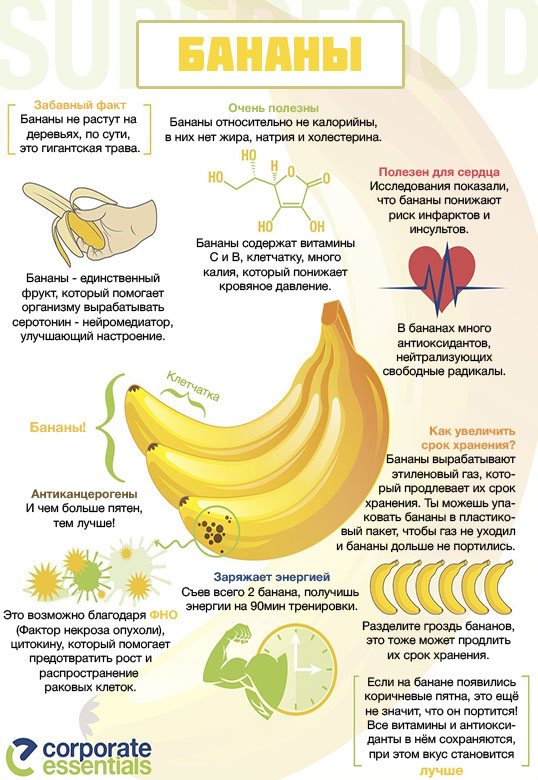 Бананы в первый месяц грудного вскармливания: можно ли кормящей маме в дни лактации фрукты, не навредят ли они при гв новорожденному, как он развивается в 6 недель?