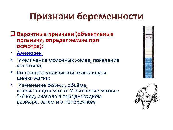 Признаки беременности: две полоски, тест и другие способы определить беременность