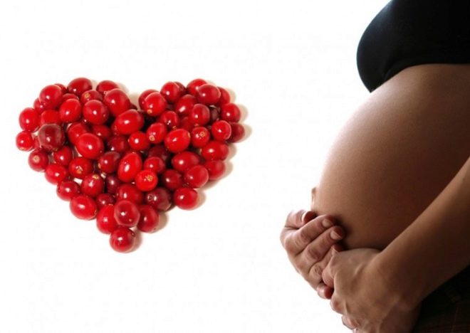 Клюква при беременности, польза и вред на ранних и поздних сроках