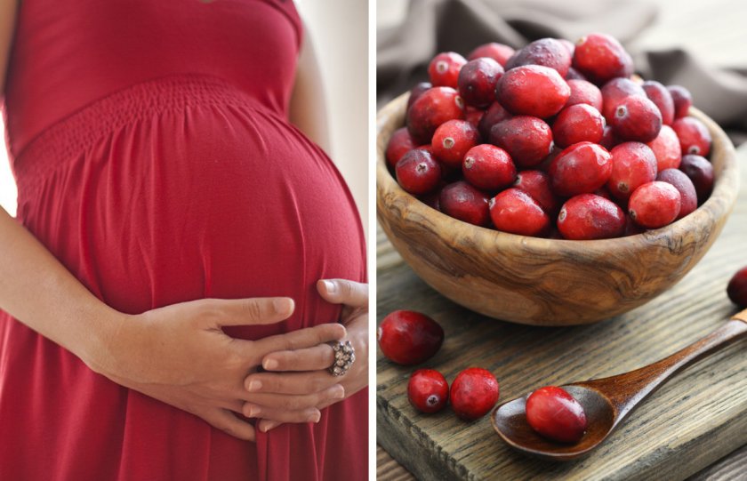 Клюква при беременности: полезные свойства и противопоказания, применение, рецепты напитков, средств