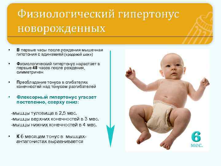 Сглаженность носогубной складки