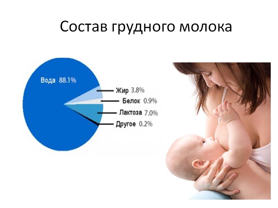 Состав грудного молока   | материнство - беременность, роды, питание, воспитание