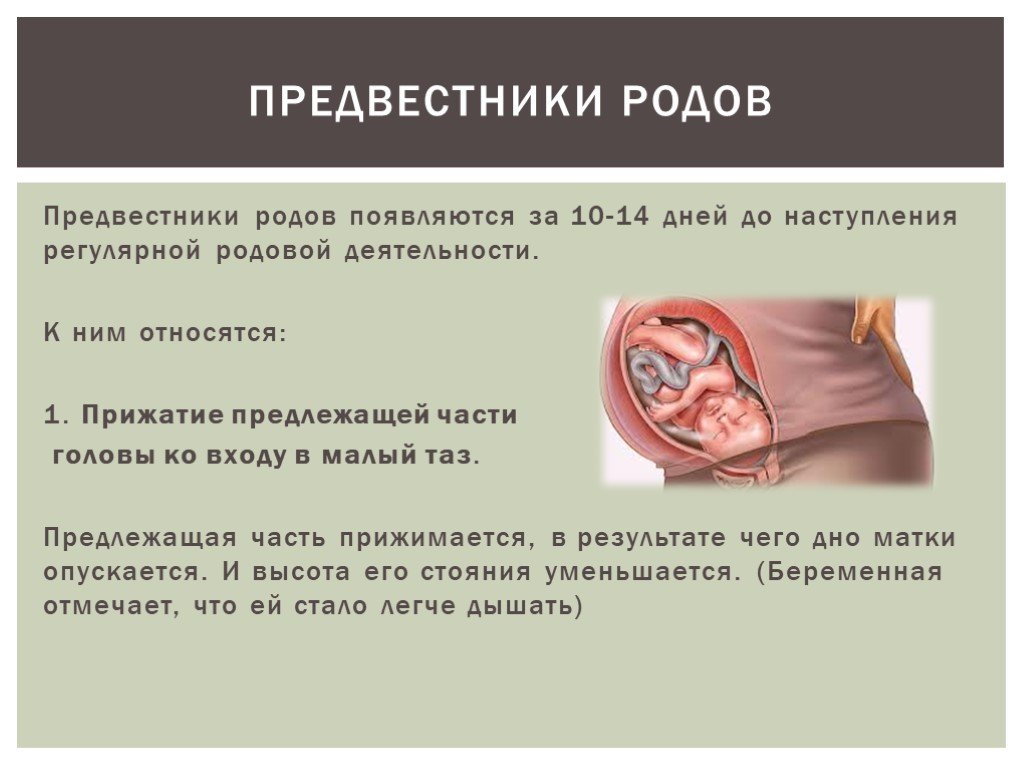 Как узнать, что скоро роды? предвестники: 9 признаков приближающихся родов. как понять, что скоро начнутся роды?