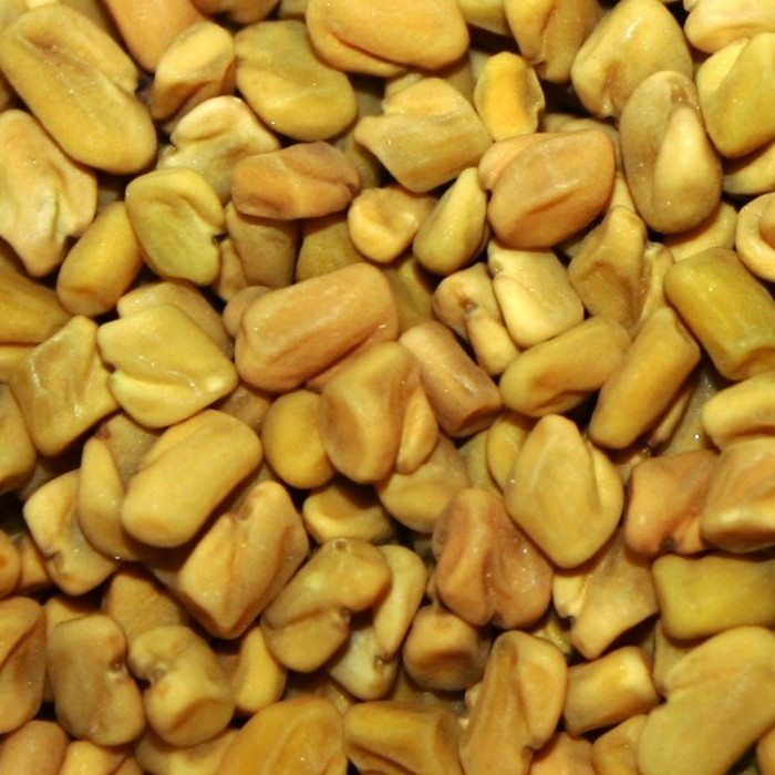 Семена пажитника: применение, лечебные свойства и противопоказания