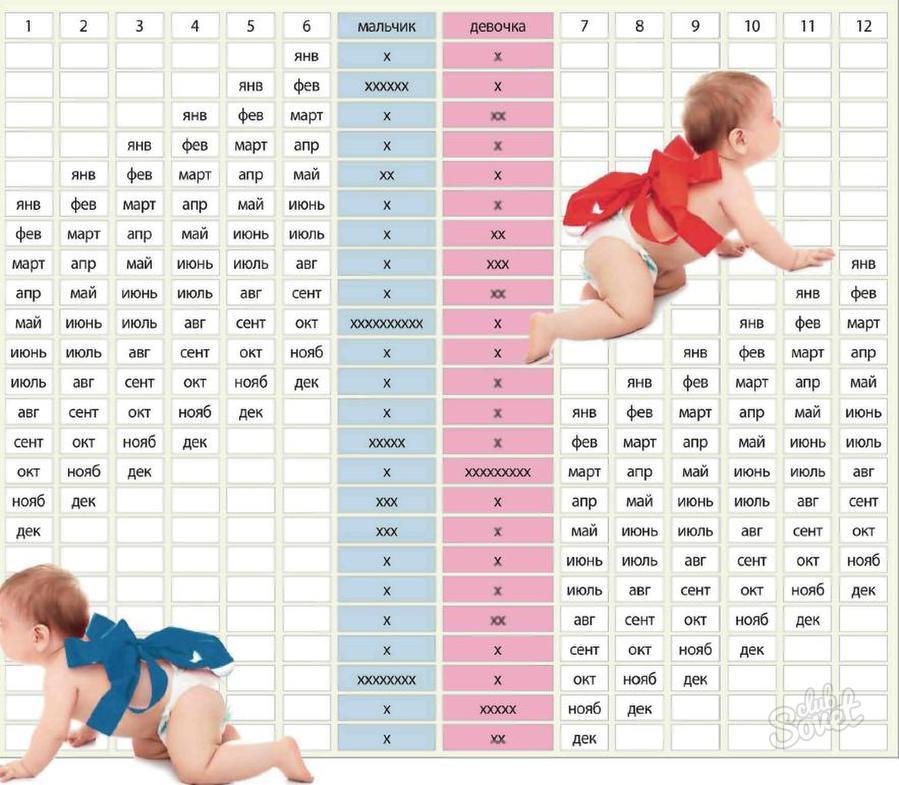 Калькулятор определения пола ребенка - рассчитать пол будущего ребенка по дате зачатия и возрасту |
 эко-блог