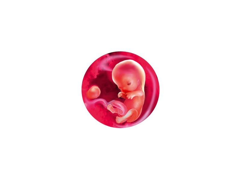 9 неделя беременности: развитие плода на этом сроке, ощущения будущей мамы, полезное видео