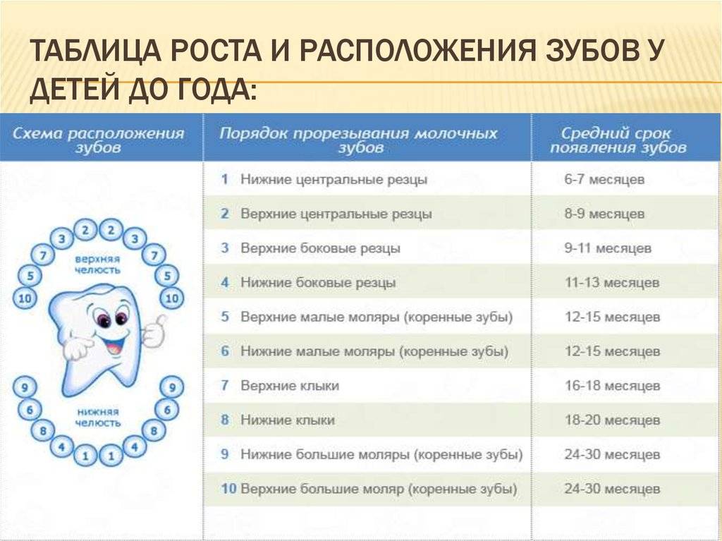 Зубы ребенка порядок прорезывания схема