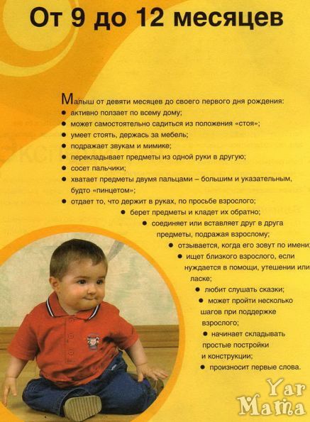 Ребенок в 9 месяцев / календарь развития ребенка