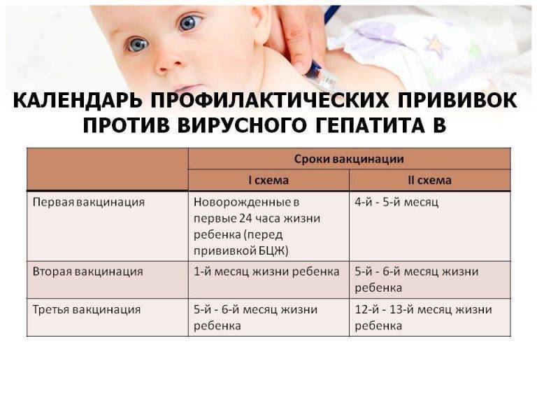 Правила проведения прививки от гепатита новорожденным и схема вакцинации