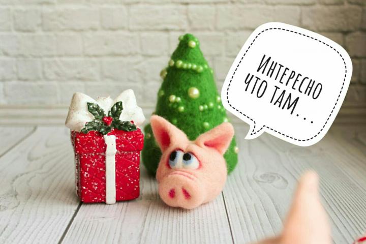 15 идей практичных подарков на новый год 2019 с символом года - свиньей