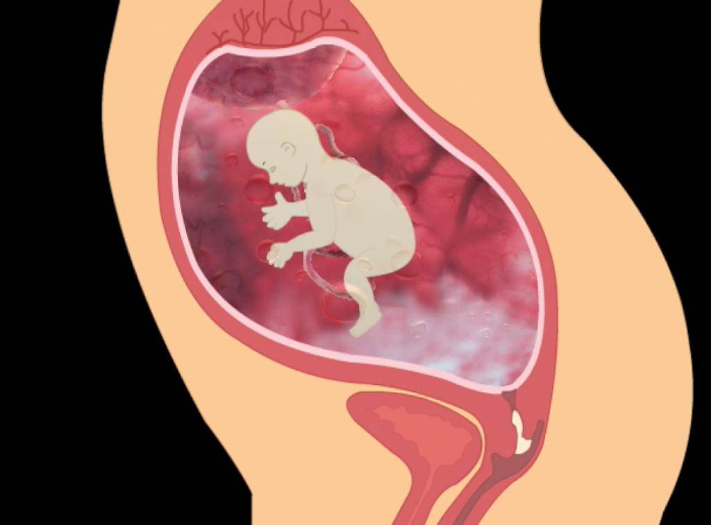 Как отходят воды у беременных? когда начнутся роды? что делать при подтекании? :: polismed.com