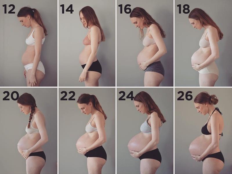 Когда начинает расти живот у беременных