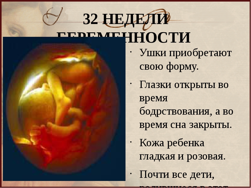 33 неделя беременности (55 фото): что происходит с малышом и мамой, 32 акушерская неделя – сколько это месяцев, секс, развитие плода, отзывы