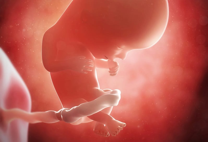Как развивается малыш и что чувствует мама на 4 неделе беременности