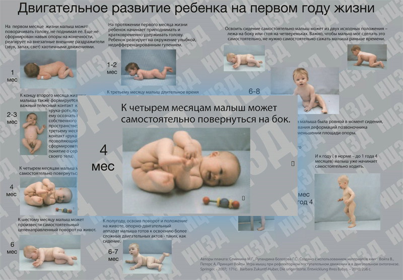 6 месяц беременности – что происходит, развитие плода и ощущения в животе на шестом месяце беременности - agulife.ru