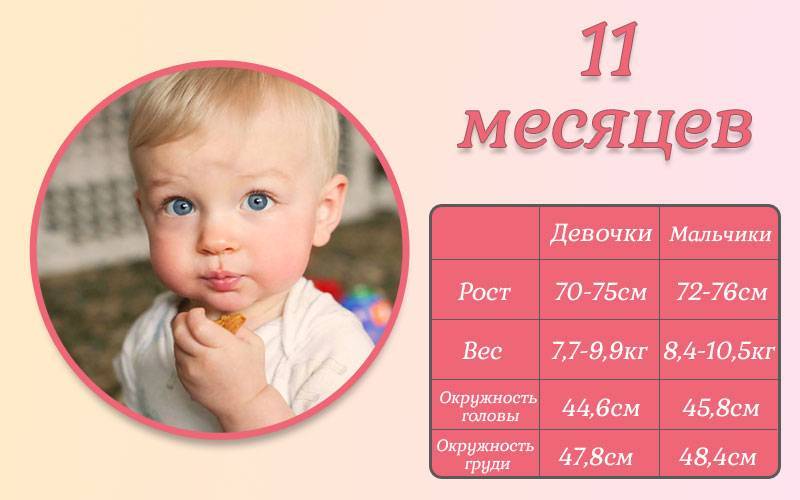 Развитие ребенка 11 месяца жизни. календарь развития