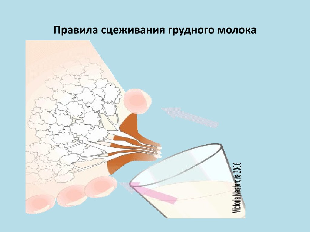 Как сцеживать грудное молоко руками - правильная техника