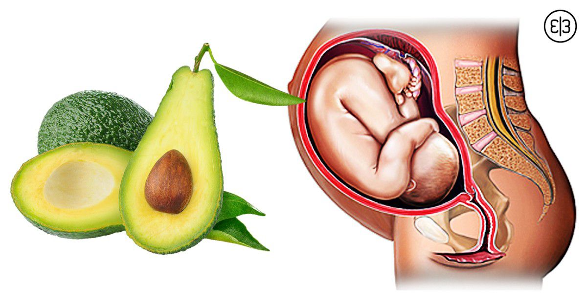 Авокадо при беременности: можно ли беременным есть? польза и вред на ранних и поздних сроках. свойства и противопоказания применения масла авокадо