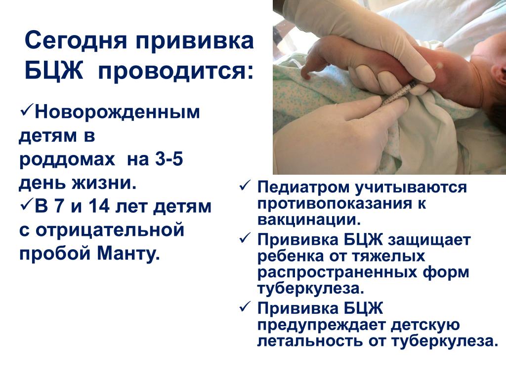 Прививки новорожденным - за и против, календарь прививок