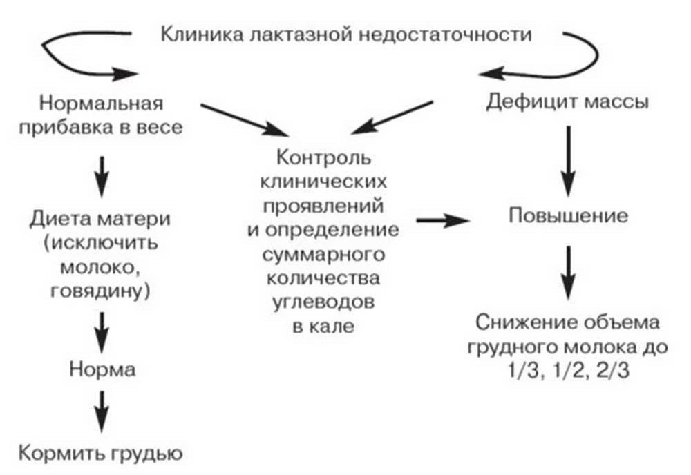 Какие каши можно есть кормящей маме при лактозной недостаточности у ребенка