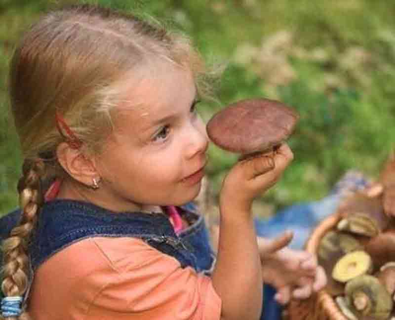 Можно ли детям давать грибы и с какого возраста, мнение специалистов