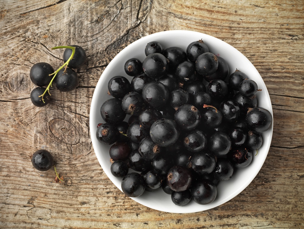Черная смородина: свойства, польза, рецепты | food and health