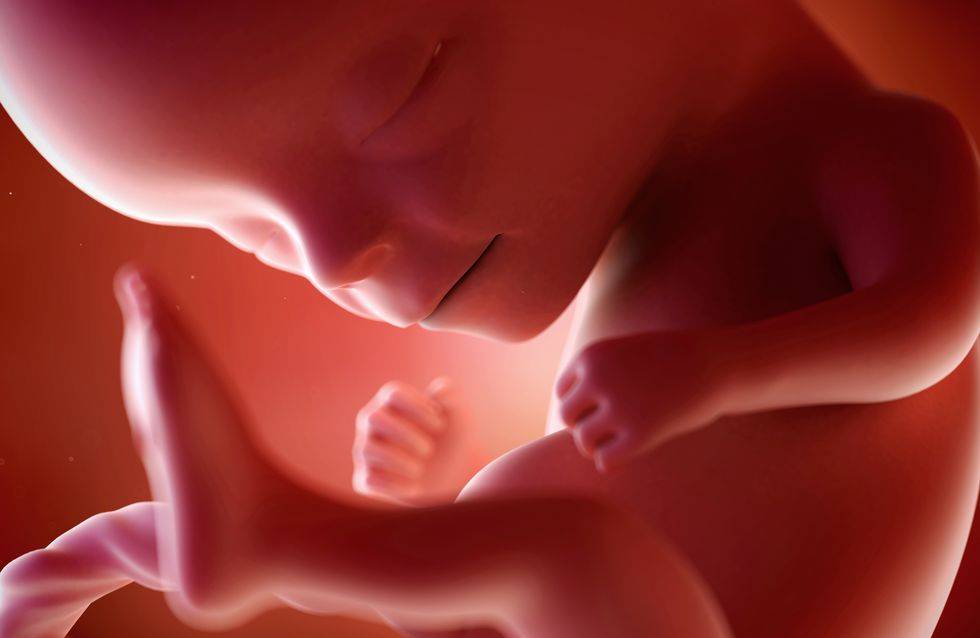12 неделя беременности: как развивается малыш и чувствует себя мама