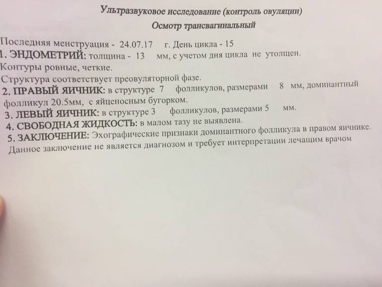 Желтое тело яичника и его размеры - планирование беременности. эко